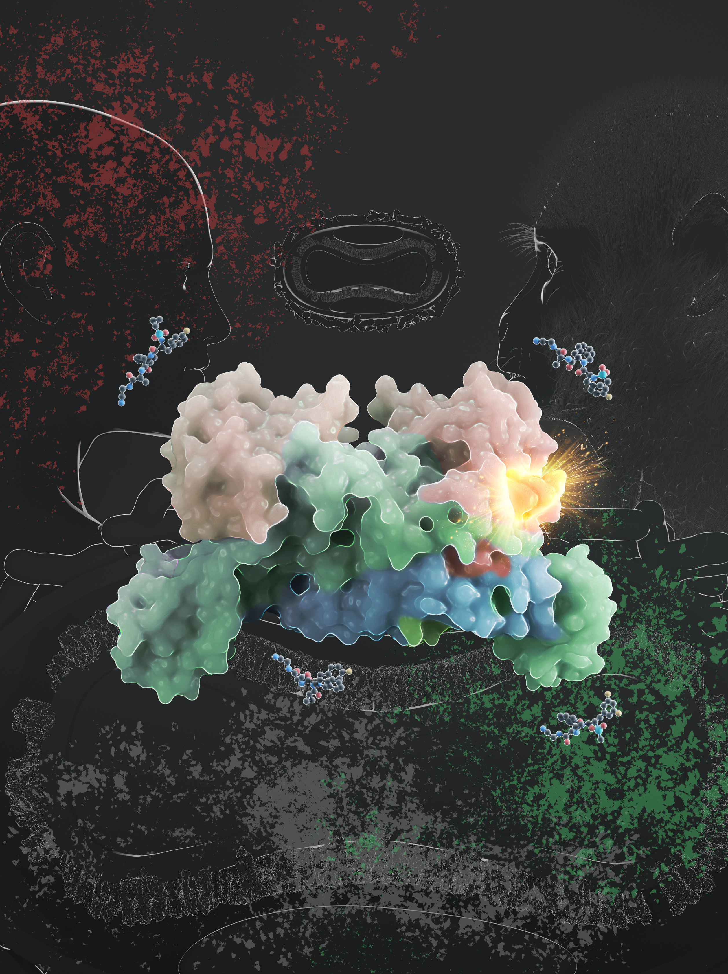 上?？萍即髮W(xué)等單位揭示抗猴痘病毒新靶點(diǎn)、新機(jī)制