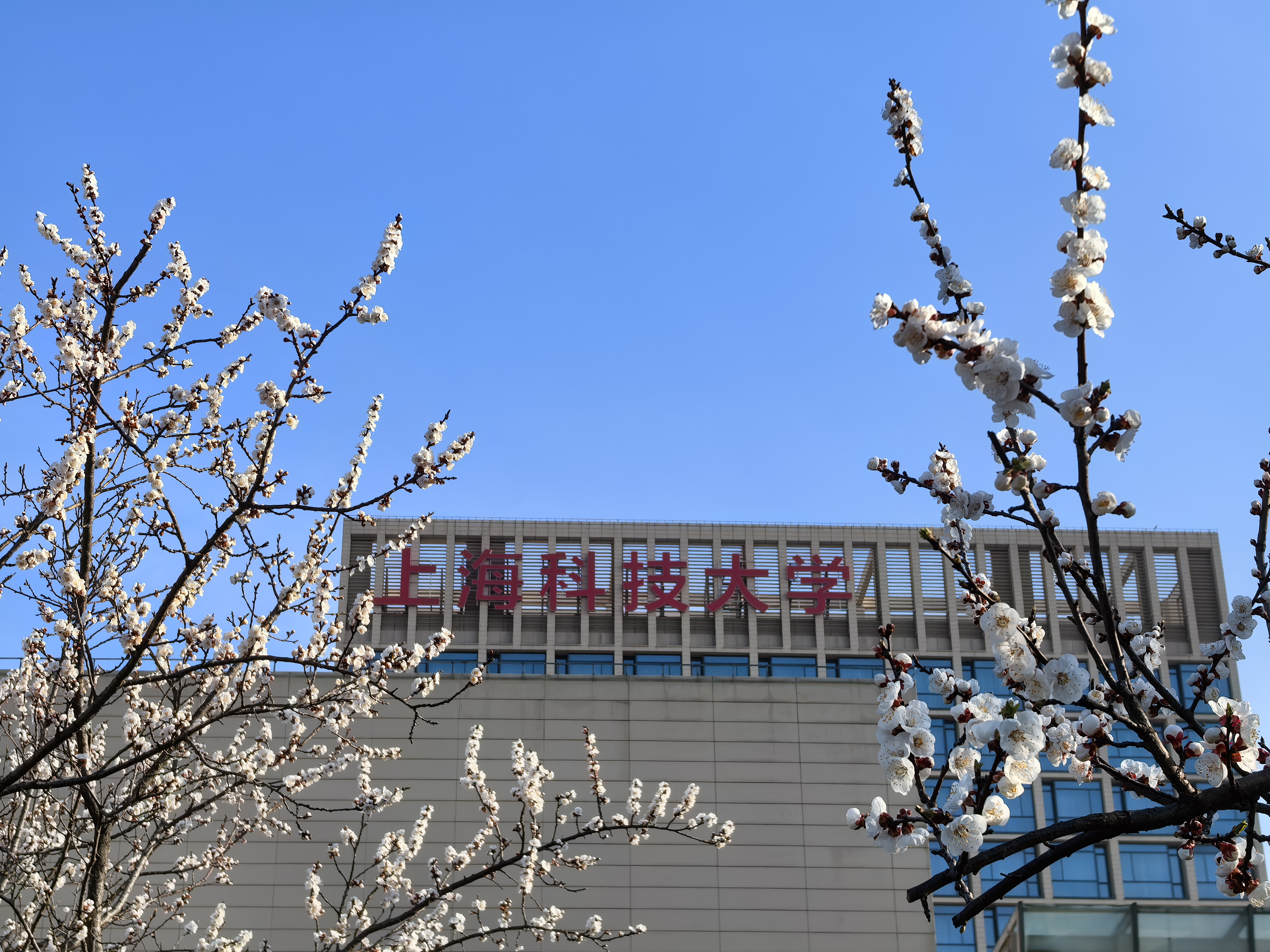 “滬”啟未來(lái) | 5月10日高校在滬招生咨詢(xún)會(huì)在上海科技大學(xué)舉行