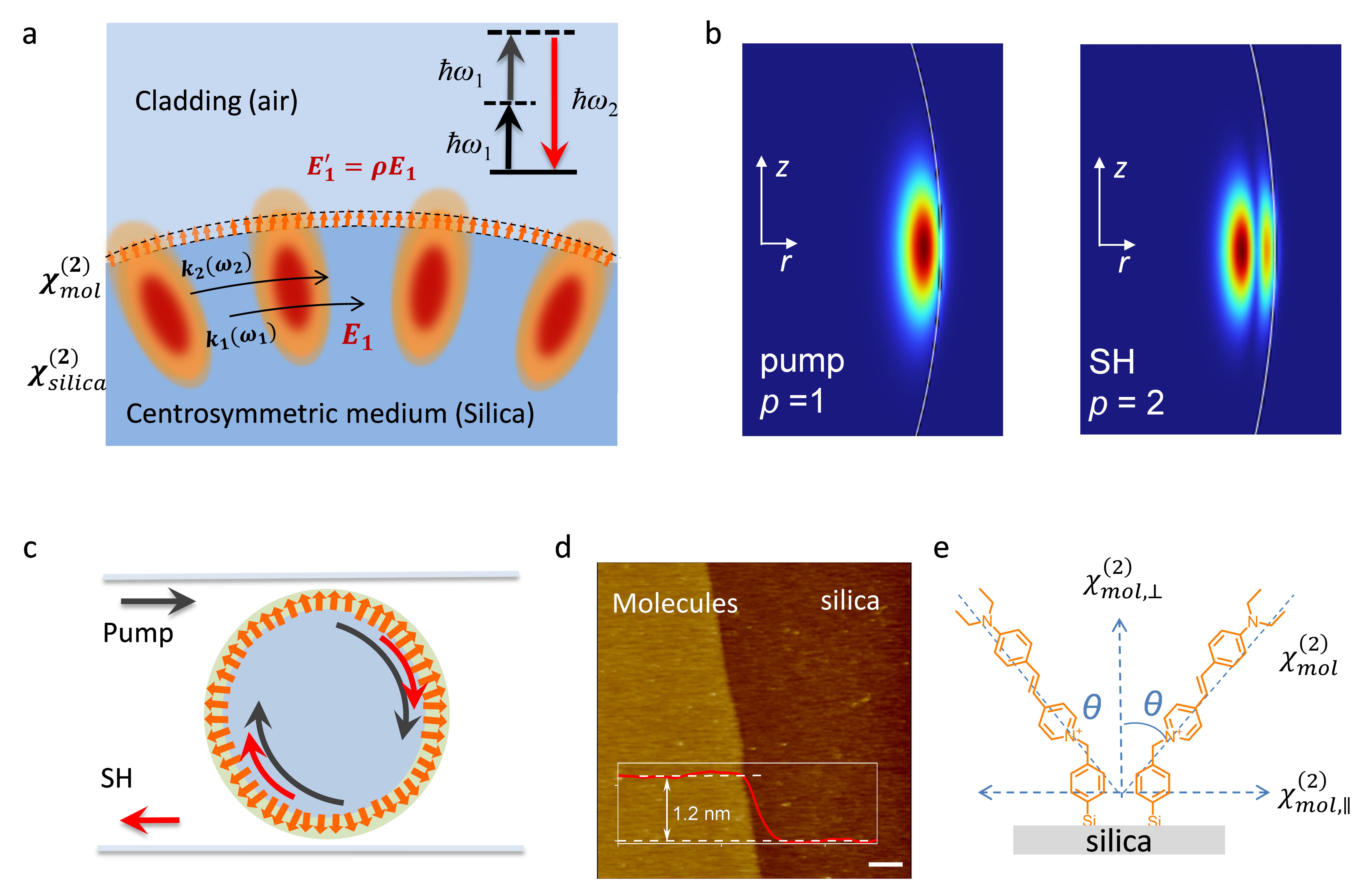 物質(zhì)學(xué)院沈曉欽組利用超薄“分子鎧甲”顯著提升硅光子器件二階非線(xiàn)性
